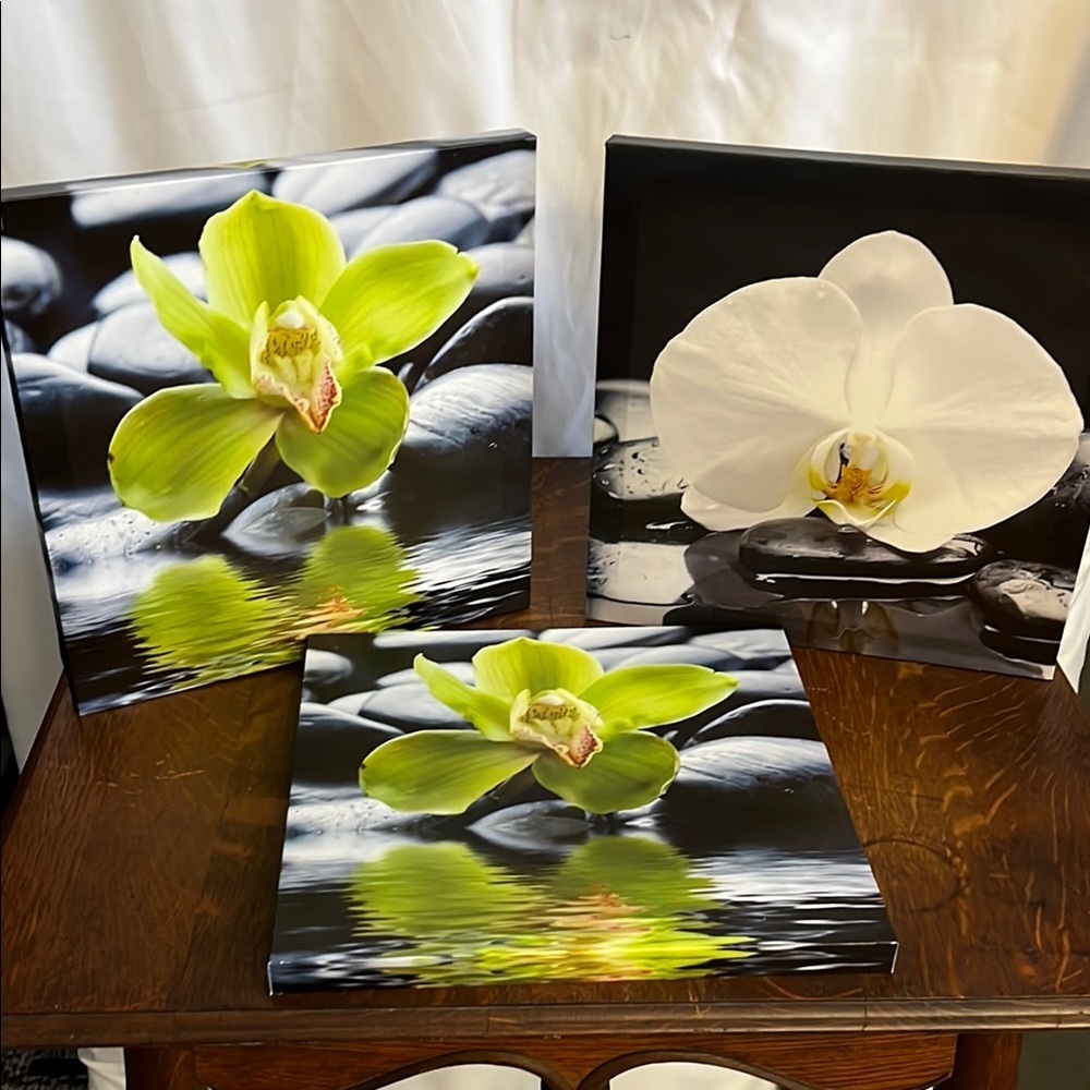 Orchid Canvas Wall Art Set - Green and White